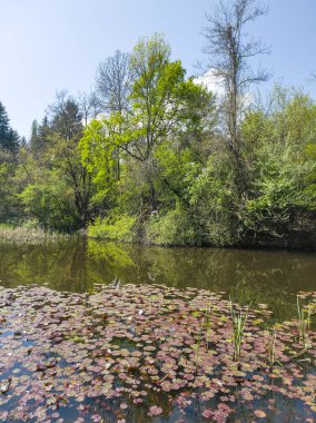 Bulgaristan 'ın Sofya kentindeki South Park' ın Muhteşem Bahar Panoraması