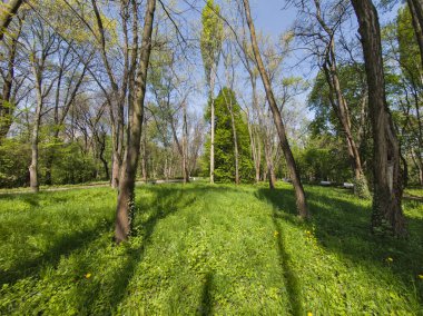 Bulgaristan 'ın Sofya kentindeki South Park' ın Muhteşem Bahar Panoraması