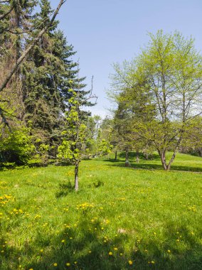 Bulgaristan 'ın Sofya kentindeki South Park' ın Muhteşem Bahar Panoraması