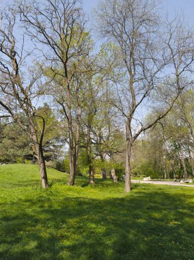 Bulgaristan 'ın Sofya kentindeki South Park' ın Muhteşem Bahar Panoraması