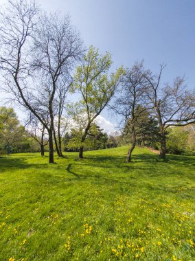 Bulgaristan 'ın Sofya kentindeki South Park' ın Muhteşem Bahar Panoraması