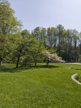 Bulgaristan 'ın Sofya kentindeki South Park' ın Muhteşem Bahar Panoraması
