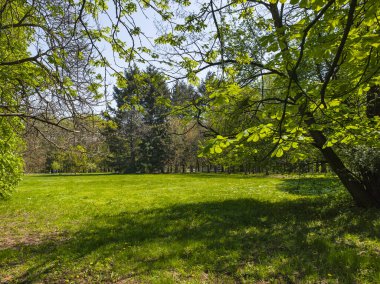 Bulgaristan 'ın Sofya kentindeki South Park' ın Muhteşem Bahar Panoraması