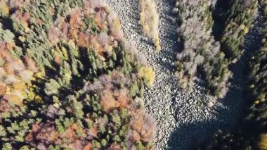 Bulgaristan 'ın başkenti Sofya' nın Vitosha Dağı 'ndaki Zlatnite Mostove (Altın Köprüler) adlı taştan nehrin hava sonbahar manzarası