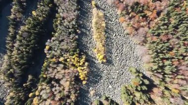 Bulgaristan 'ın başkenti Sofya' nın Vitosha Dağı 'ndaki Zlatnite Mostove (Altın Köprüler) adlı taştan nehrin hava sonbahar manzarası