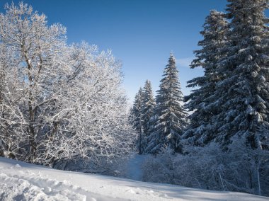Bulgaristan 'ın Sofya Şehir Bölgesi, Vitosha Dağı' nın İnanılmaz Kış Panoraması
