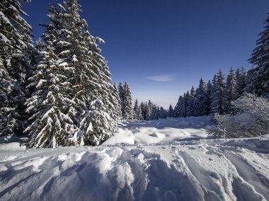 Bulgaristan 'ın Sofya Şehir Bölgesi, Vitosha Dağı' nın İnanılmaz Kış Panoraması