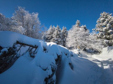 Bulgaristan 'ın Sofya Şehir Bölgesi, Vitosha Dağı' nın İnanılmaz Kış Panoraması