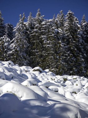 Bulgaristan 'ın Sofya Şehir Bölgesi, Vitosha Dağı' nın İnanılmaz Kış Panoraması