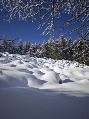 Bulgaristan 'ın Sofya Şehir Bölgesi, Vitosha Dağı' nın İnanılmaz Kış Panoraması