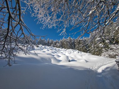 Bulgaristan 'ın Sofya Şehir Bölgesi, Vitosha Dağı' nın İnanılmaz Kış Panoraması