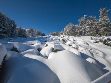 Bulgaristan 'ın Sofya Şehir Bölgesi, Vitosha Dağı' nın İnanılmaz Kış Panoraması