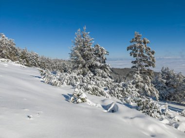 Bulgaristan 'ın Sofya Şehir Bölgesi, Vitosha Dağı' nın İnanılmaz Kış Panoraması