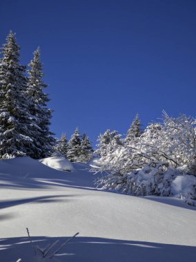 Bulgaristan 'ın Sofya Şehir Bölgesi, Vitosha Dağı' nın İnanılmaz Kış Panoraması