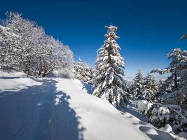 Bulgaristan 'ın Sofya Şehir Bölgesi, Vitosha Dağı' nın İnanılmaz Kış Panoraması