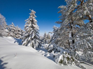 Bulgaristan 'ın Sofya Şehir Bölgesi, Vitosha Dağı' nın İnanılmaz Kış Panoraması