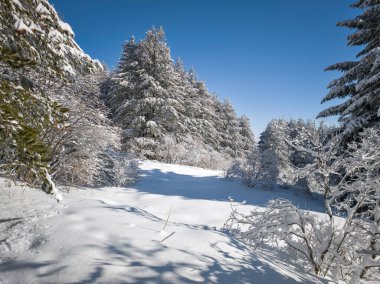 Bulgaristan 'ın Sofya Şehir Bölgesi, Vitosha Dağı' nın İnanılmaz Kış Panoraması