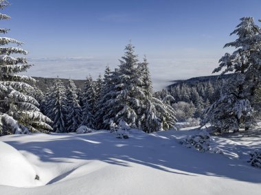 Bulgaristan 'ın Sofya Şehir Bölgesi, Vitosha Dağı' nın İnanılmaz Kış Panoraması
