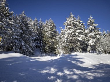 Bulgaristan 'ın Sofya Şehir Bölgesi, Vitosha Dağı' nın İnanılmaz Kış Panoraması