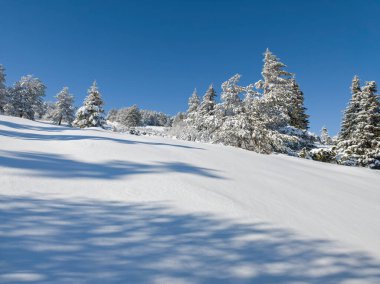 Bulgaristan 'ın Sofya Şehir Bölgesi, Vitosha Dağı' nın İnanılmaz Kış Panoraması