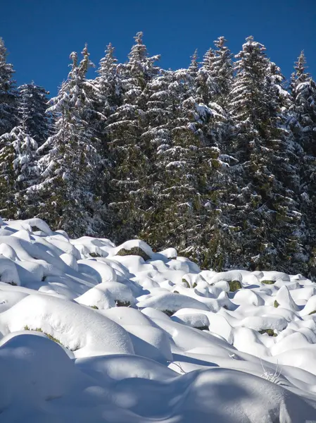 Bulgaristan 'ın Sofya Şehir Bölgesi, Vitosha Dağı' nın İnanılmaz Kış Panoraması