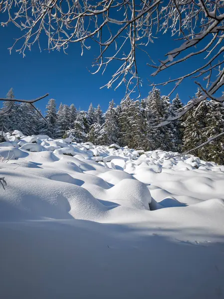 Bulgaristan 'ın Sofya Şehir Bölgesi, Vitosha Dağı' nın İnanılmaz Kış Panoraması