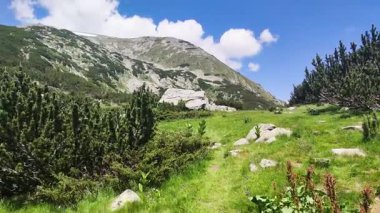Bulgaristan 'ın Muratovo Gölü yakınlarındaki Pirin Dağı' nın şaşırtıcı yaz manzarası