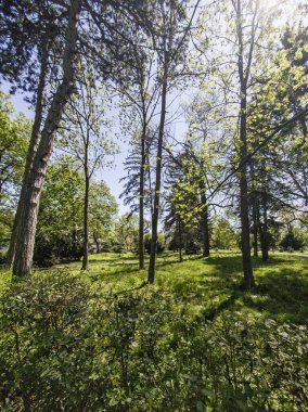 Bulgaristan 'ın Sofya kentindeki Borisova gradina (Boris Garden)' ın İnanılmaz Baharı