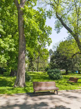 Bulgaristan 'ın Sofya kentindeki Borisova gradina (Boris Garden)' ın İnanılmaz Baharı