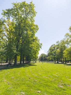 Bulgaristan 'ın Sofya kentindeki Borisova gradina (Boris Garden)' ın İnanılmaz Baharı