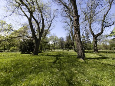 Bulgaristan 'ın Sofya kentindeki Borisova gradina (Boris Garden)' ın İnanılmaz Baharı