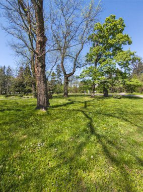 Bulgaristan 'ın Sofya kentindeki Borisova gradina (Boris Garden)' ın İnanılmaz Baharı
