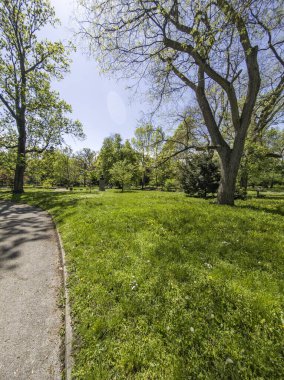 Bulgaristan 'ın Sofya kentindeki Borisova gradina (Boris Garden)' ın İnanılmaz Baharı