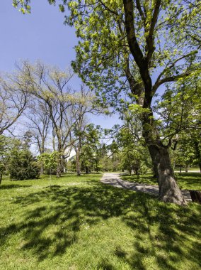 Bulgaristan 'ın Sofya kentindeki Borisova gradina (Boris Garden)' ın İnanılmaz Baharı