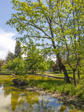 Bulgaristan 'ın Sofya kentindeki Borisova gradina (Boris Garden)' ın İnanılmaz Baharı