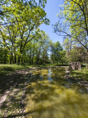 Bulgaristan 'ın Sofya kentindeki Borisova gradina (Boris Garden)' ın İnanılmaz Baharı