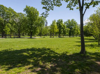 Bulgaristan 'ın Sofya kentindeki Borisova gradina (Boris Garden)' ın İnanılmaz Baharı