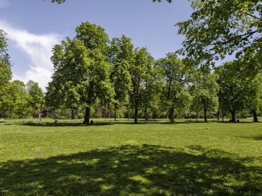 Bulgaristan 'ın Sofya kentindeki Borisova gradina (Boris Garden)' ın İnanılmaz Baharı