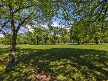 Bulgaristan 'ın Sofya kentindeki Borisova gradina (Boris Garden)' ın İnanılmaz Baharı