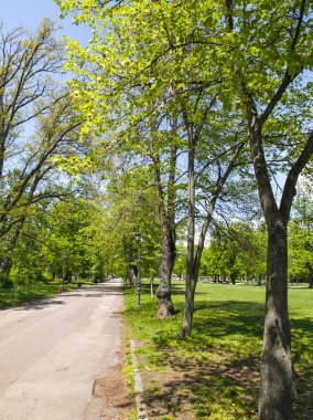 Bulgaristan 'ın Sofya kentindeki Borisova gradina (Boris Garden)' ın İnanılmaz Baharı