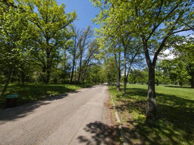 Bulgaristan 'ın Sofya kentindeki Borisova gradina (Boris Garden)' ın İnanılmaz Baharı