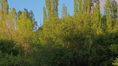Bulgaristan 'ın Sofya kentindeki South Park' ın Muhteşem Bahar Panoraması