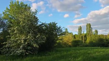 Bulgaristan 'ın Sofya kentindeki South Park' ın Muhteşem Bahar Panoraması