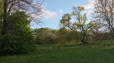 Bulgaristan 'ın Sofya kentindeki South Park' ın Muhteşem Bahar Panoraması