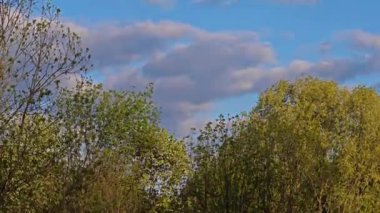 Bulgaristan 'ın Sofya kentindeki South Park' ın Muhteşem Bahar Panoraması