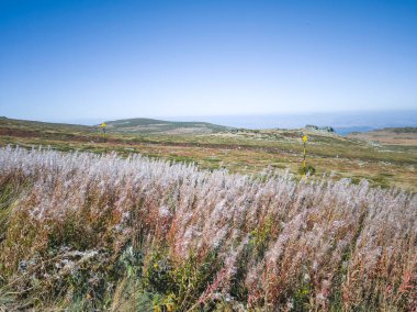 Bulgaristan 'ın Cherni Vrah zirvesi yakınlarındaki Vitosha Dağı' nın şaşırtıcı sonbahar manzarası