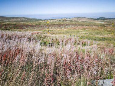 Bulgaristan 'ın Cherni Vrah zirvesi yakınlarındaki Vitosha Dağı' nın şaşırtıcı sonbahar manzarası