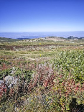 Bulgaristan 'ın Cherni Vrah zirvesi yakınlarındaki Vitosha Dağı' nın şaşırtıcı sonbahar manzarası