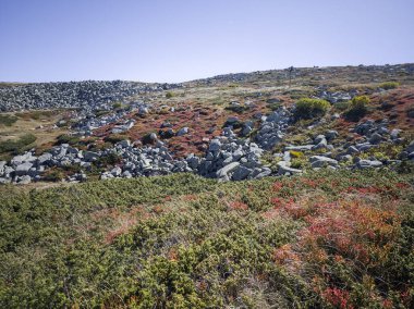 Bulgaristan 'ın Cherni Vrah zirvesi yakınlarındaki Vitosha Dağı' nın şaşırtıcı sonbahar manzarası