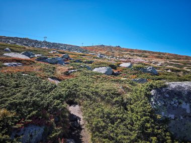 Bulgaristan 'ın Cherni Vrah zirvesi yakınlarındaki Vitosha Dağı' nın şaşırtıcı sonbahar manzarası